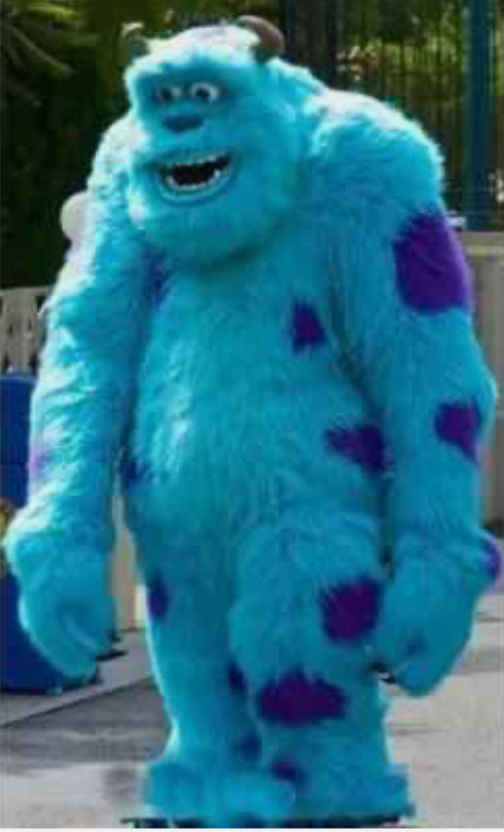 Sulley Monster – Kids Party Characters Princesses, Superheros & Mascots