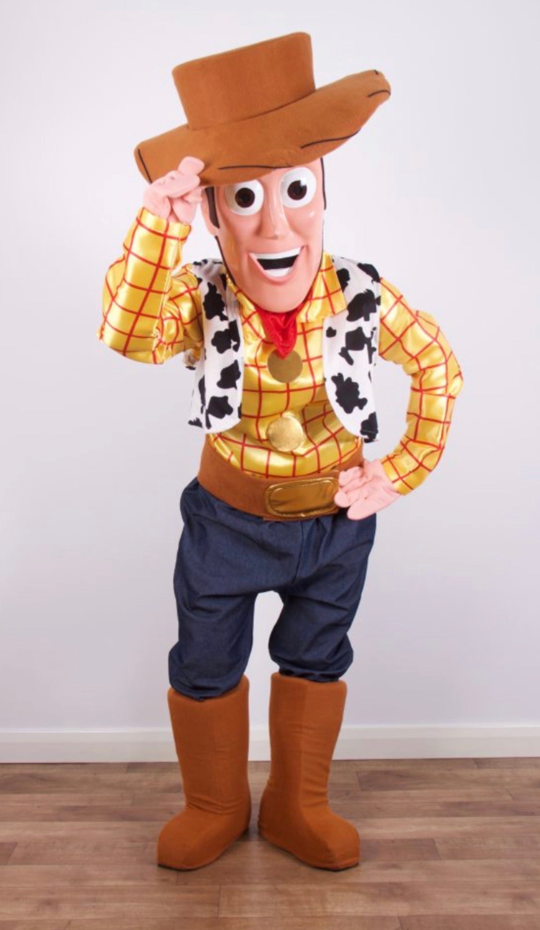 Toy Cowboy
