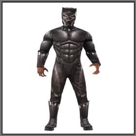 Panther Superhero